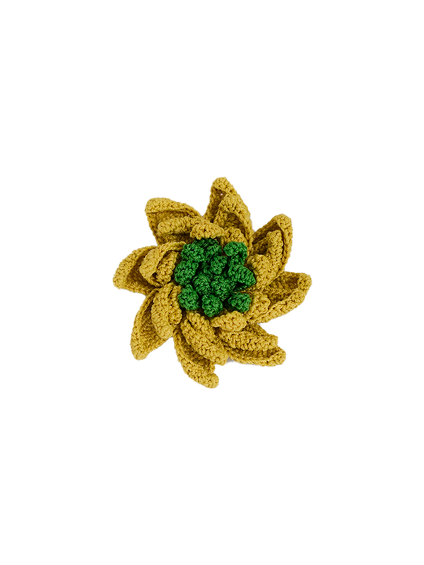 Pin Asteria