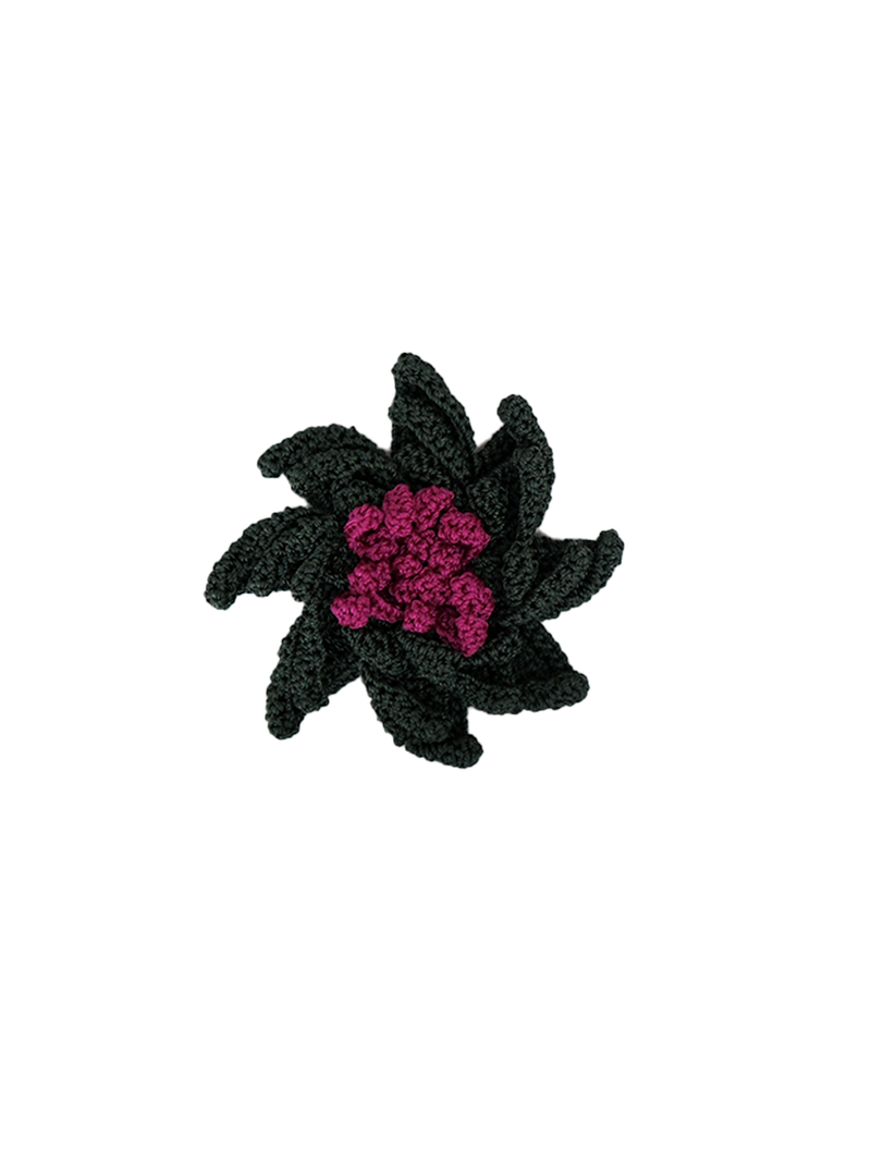 Pin Asteria