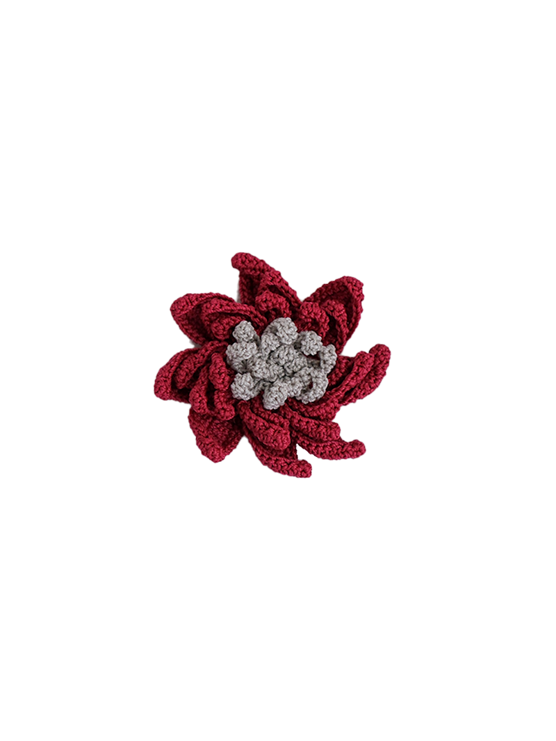 Pin Asteria