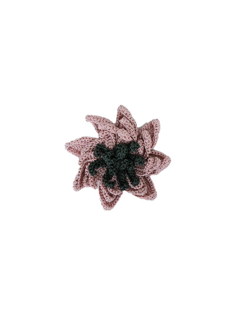 Pin Asteria